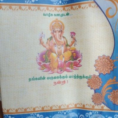 Net Bag thick variant 8
